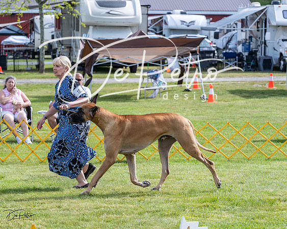 20230513-DSC00742