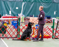 20261017-DSC08473
