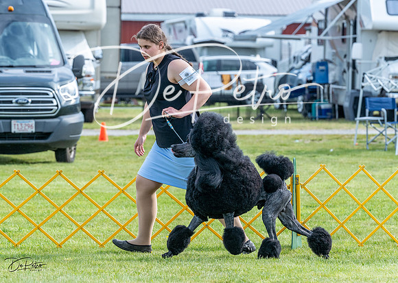 20230512-DSC06703