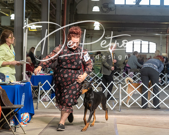 20230402-DSC08870