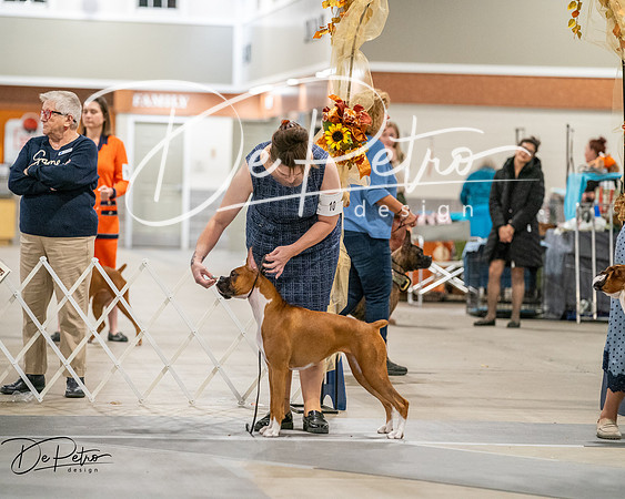 20261022-DSC02959