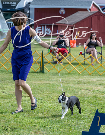 20230513-DSC00429
