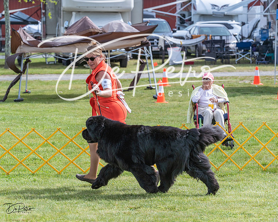 20230513-DSC00600