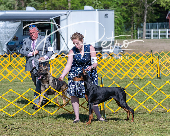 20230514-DSC02922