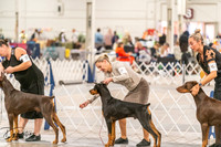 20261024-DSC00568