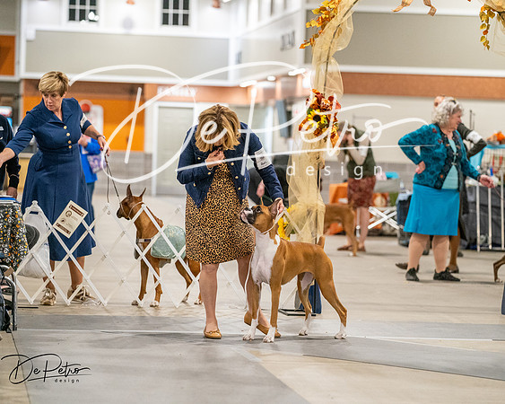 20261022-DSC03062