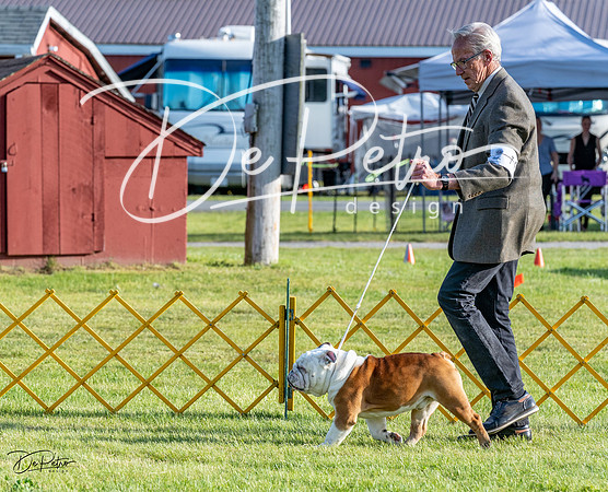 20230513-DSC02542
