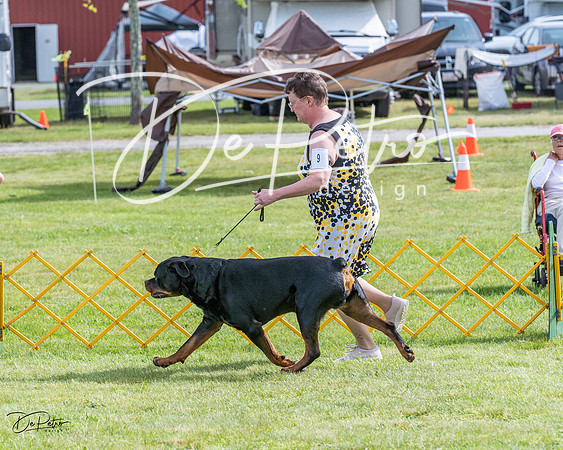 20230513-DSC00683