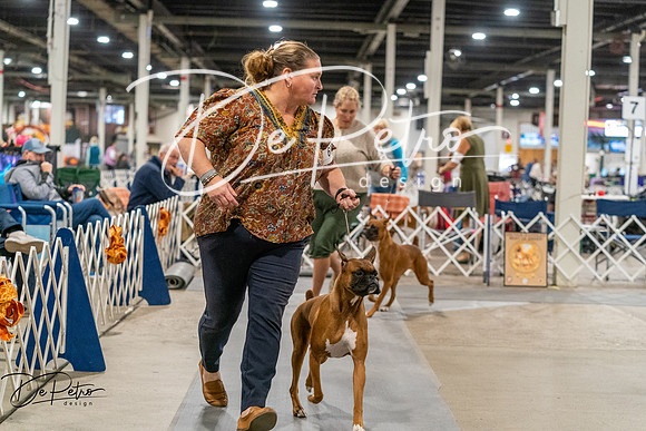 20261023-DSC05288