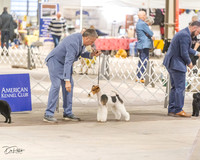 20230331-DSC05981