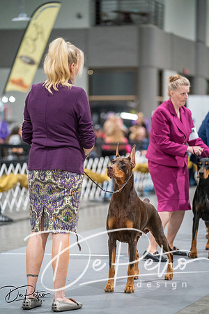 20260926-DSC04512