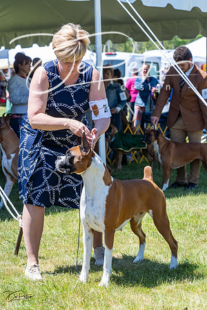 20230514-DSC04506