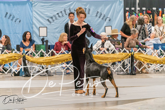 20260928-DSC06223