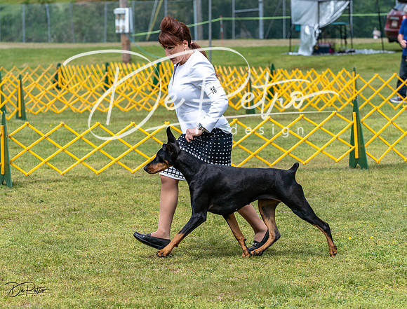 20230513-DSC08330