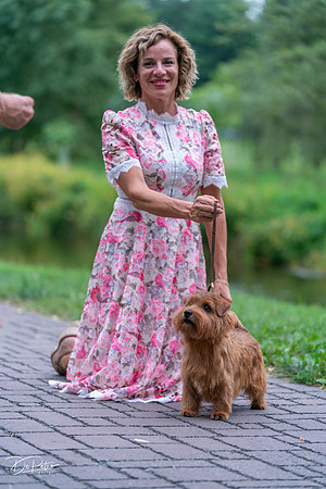 20260912-DSC03358