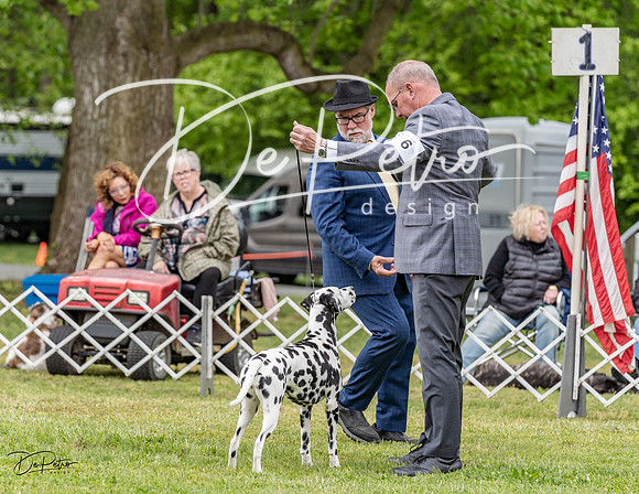 20230427-DSC07328