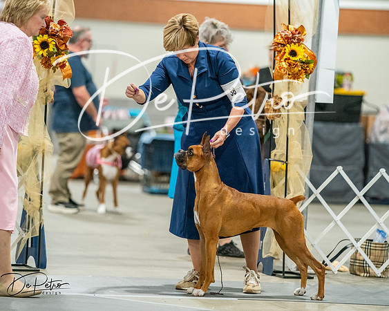 20261022-DSC03228