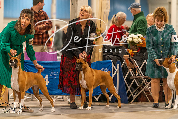 20261023-DSC05493