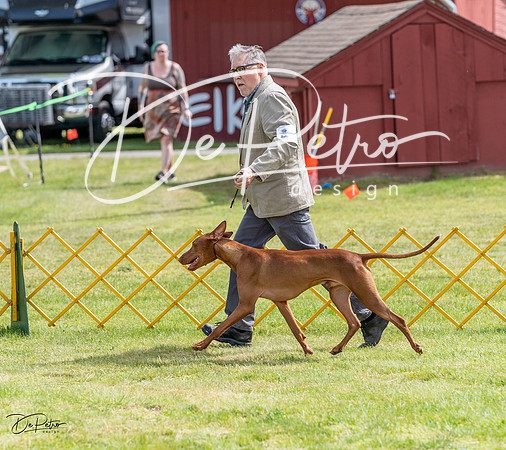 20230513-DSC09857