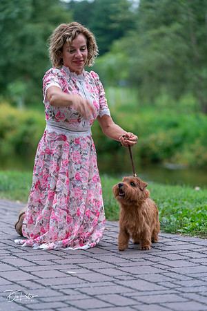 20260912-DSC03309