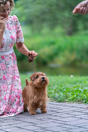 20260912-DSC03213