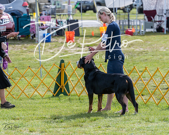 20230513-DSC00791