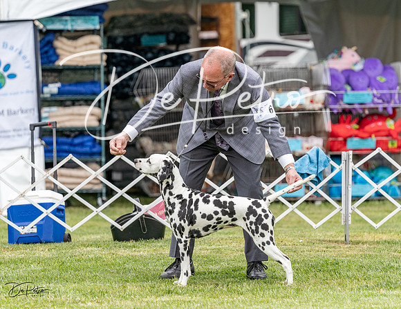 20230427-DSC07503