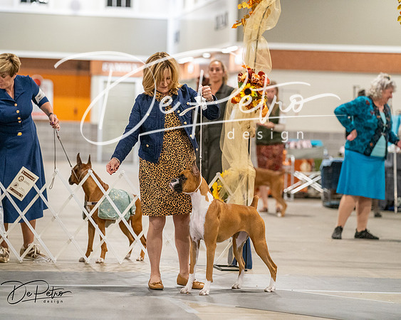 20261022-DSC03066