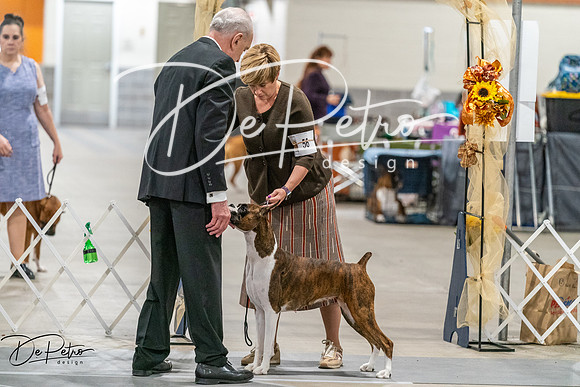 20261023-DSC05190