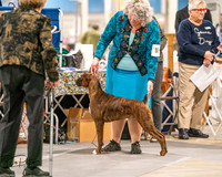 20261022-DSC01638