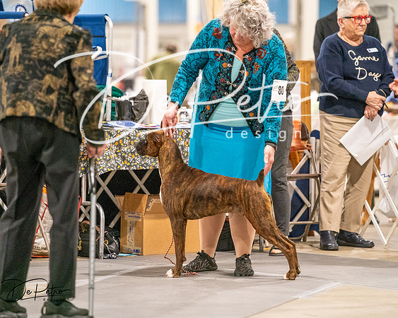 20261022-DSC01638