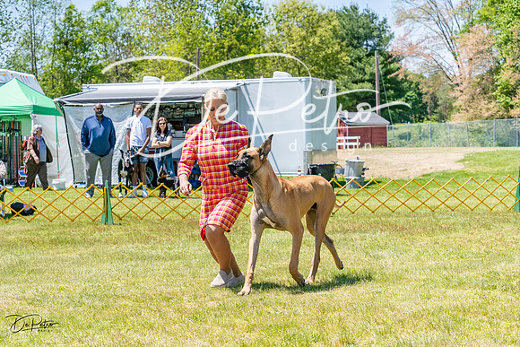 20230514-DSC07897