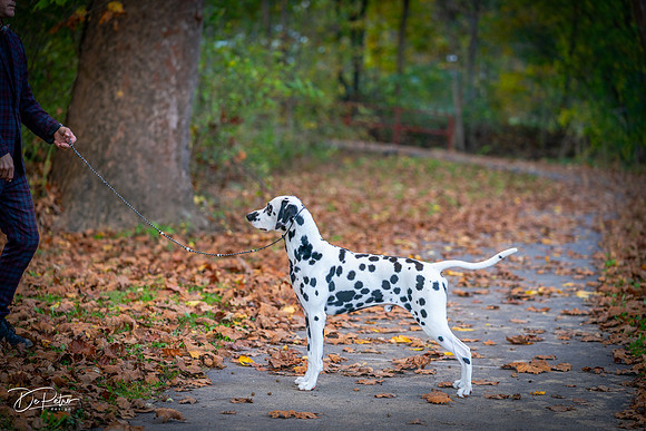 20261017-DSC09170