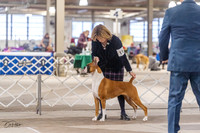 20230331-DSC05400