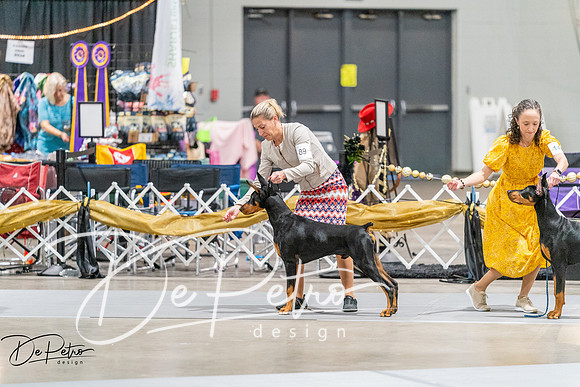 20261001-DSC07145