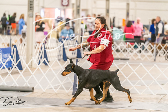20261024-DSC00911