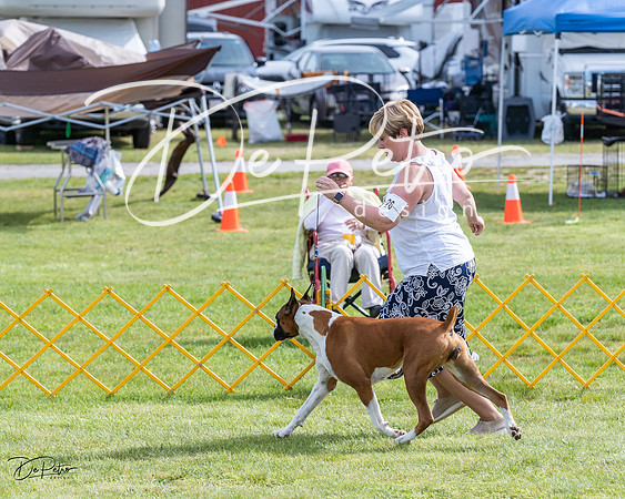 20230513-DSC00556