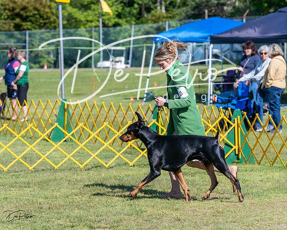 20230514-DSC03013