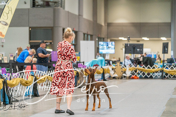 20260927-DSC05056