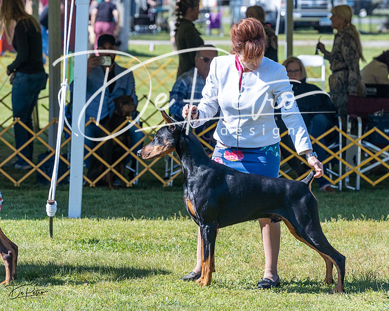 20230514-DSC02953