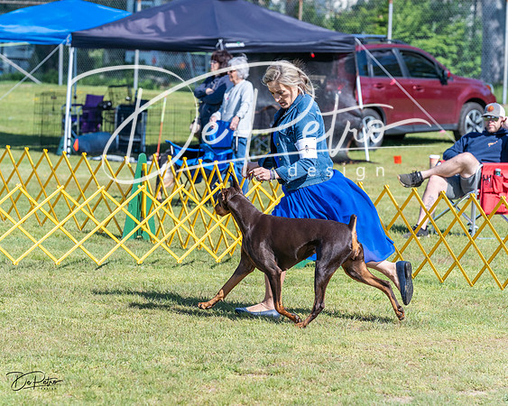 20230514-DSC02866