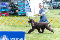 20230512-DSC05634