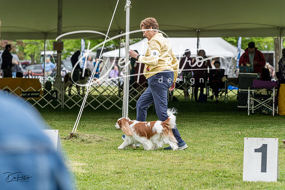 20230427-DSC04177
