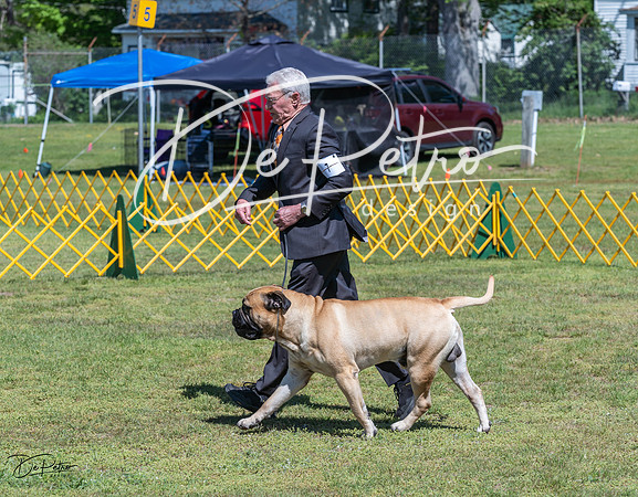 20230514-DSC03657