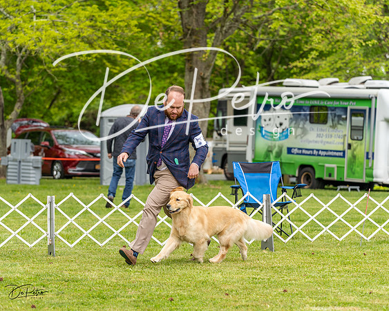 20230427-DSC03649