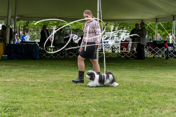 20230427-DSC04182