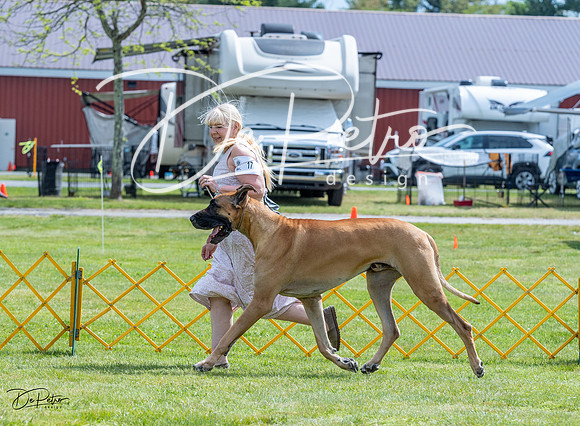 20230512-DSC04841