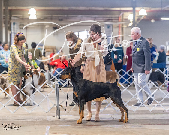 20230401-DSC06560