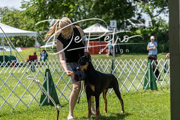 20190609-DSC09433