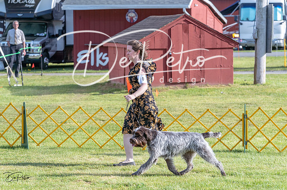 20230513-DSC02185